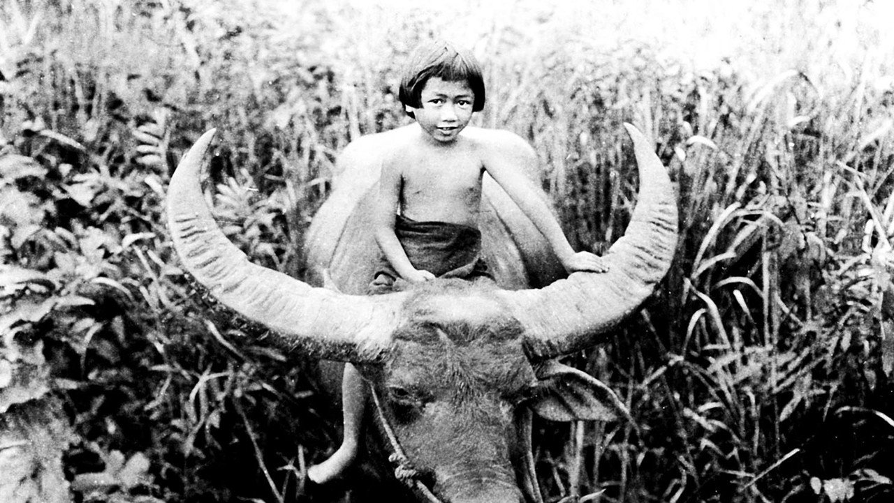 Chang: A Drama of the Wilderness (1927) still