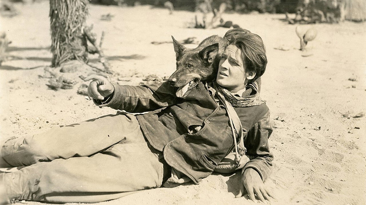 Clash of the Wolves (1925) still