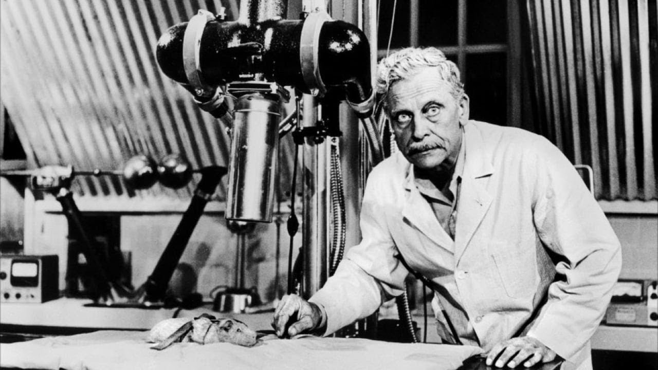 The Amazing Transparent Man (1960) still