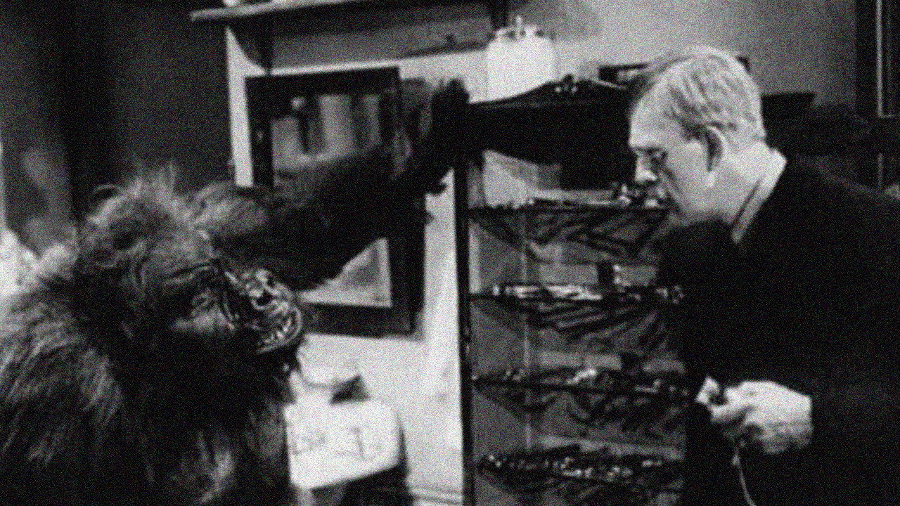 The Ape (1940) still