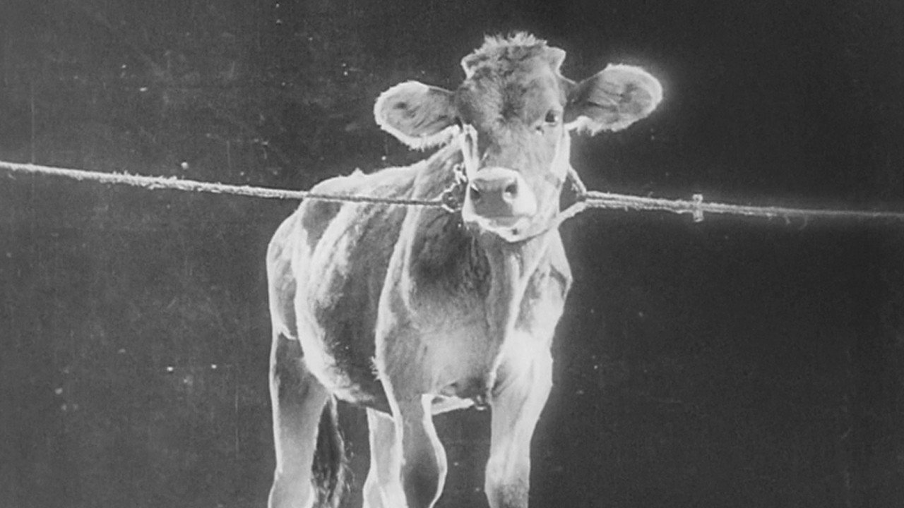 The General Line (1929) still