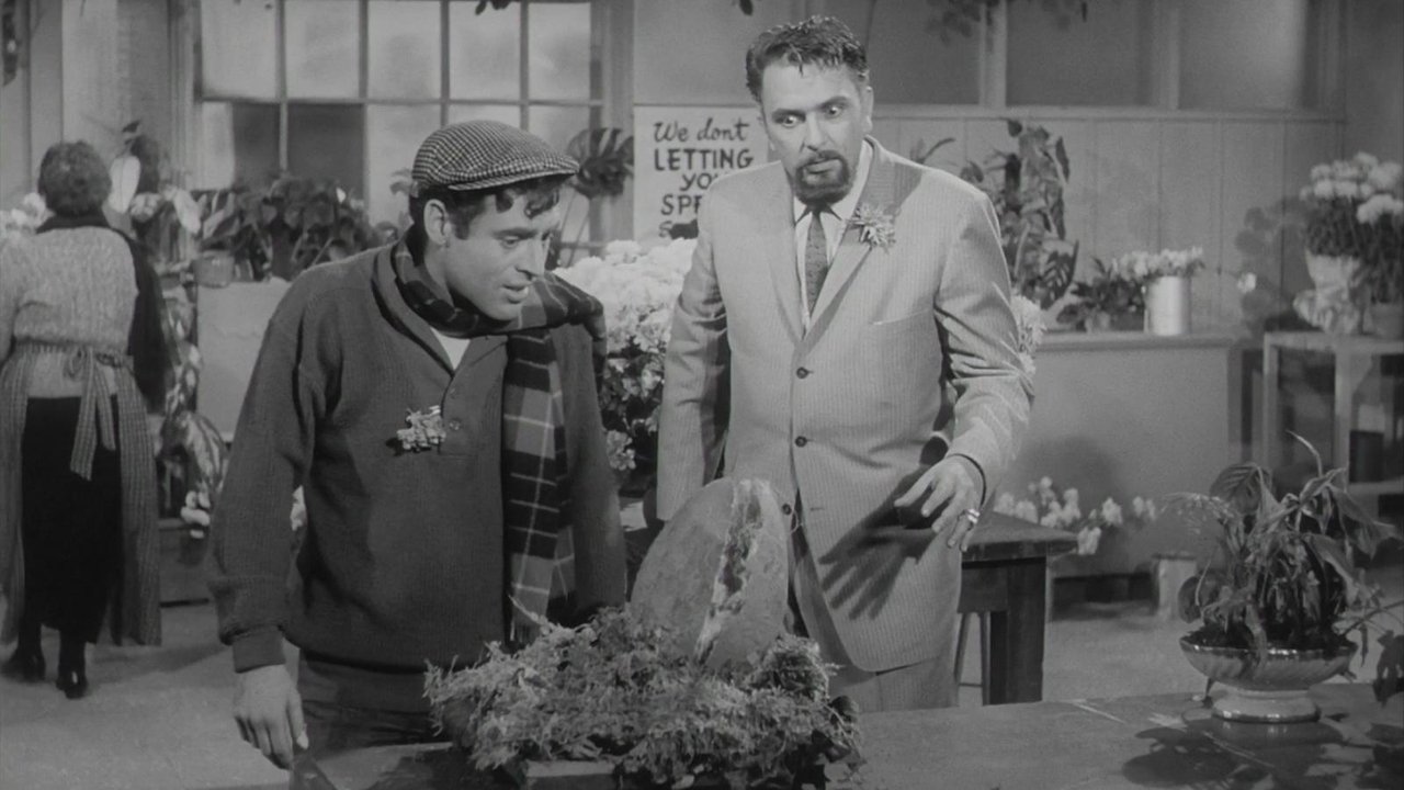 The Little Shop of Horrors (1960) still
