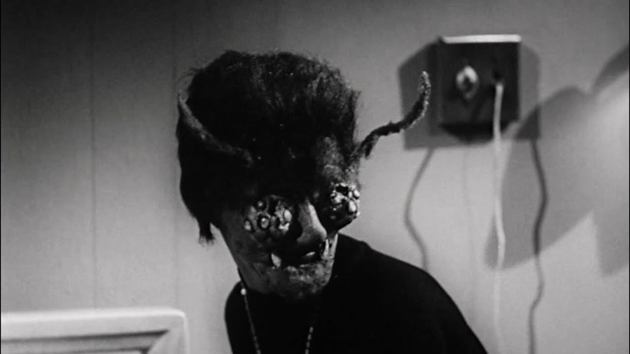 The Wasp Woman (1960) still