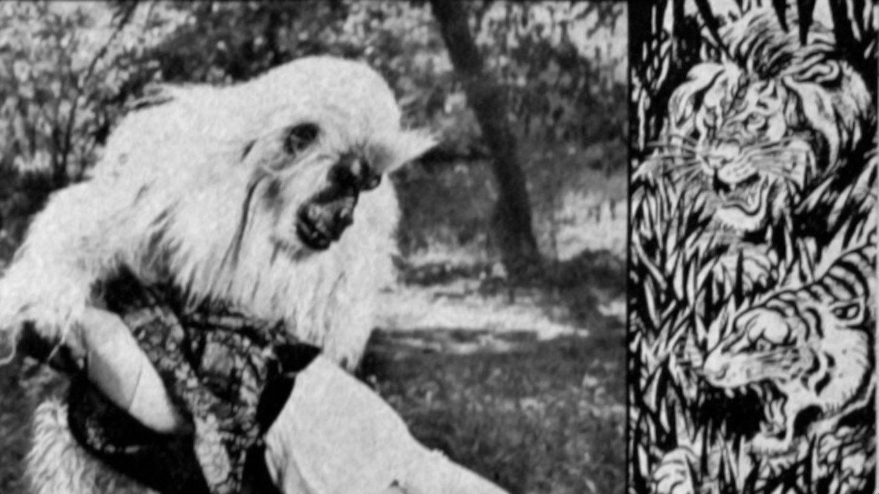 The White Gorilla (1945) still